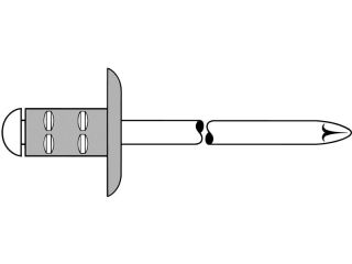 100 x GESIPA (CE) (ETA) PolyGrip Blindniete Alu/Nirosta Grosskopf 4,8 x 30 K 16