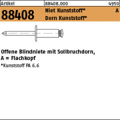 250 x Blindniete Kunststoff/Kunststoff Flachkopf - 6 x 12