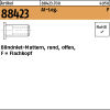 250 x Blindnietmutter Flachkopf,,Rund,offen,Alu - M6 /...