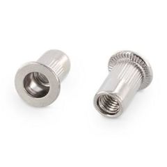 250 x Blind rivet nuts with flat head, straight shank, open type knurled Art. 1025 A2 M 3X10