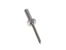 250 x GESIPA CAP-Blindniete Alu/Stahl 4,8 x 21
