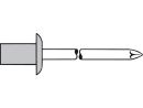 500 x GESIPA CAP-Blindniete Alu/Nirosta 4 x 8