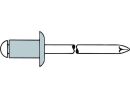 100 x GESIPA Blindniete Mini-Pack Alu/Stahl 4 x 6