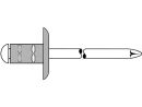100 x GESIPA (CE) PolyGrip Blindniete Alu/Stahl Grosskopf 4,8 x 30 K 16